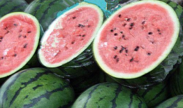 吃瓜网爆料无码吃瓜第一页