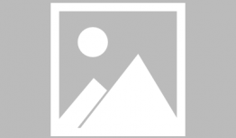 视频豆豆,趣味横生的日常瞬间